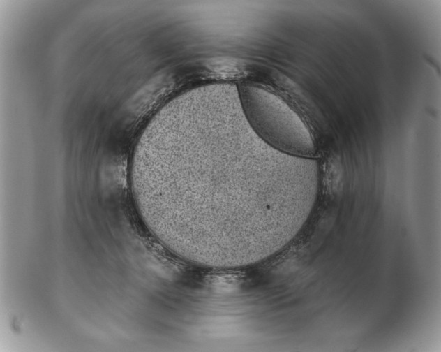 X0000102380368200808221807