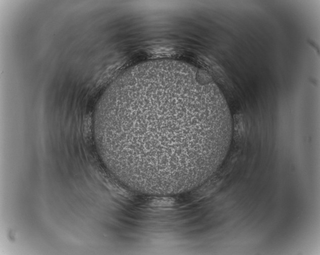 X0000102380369200808221807