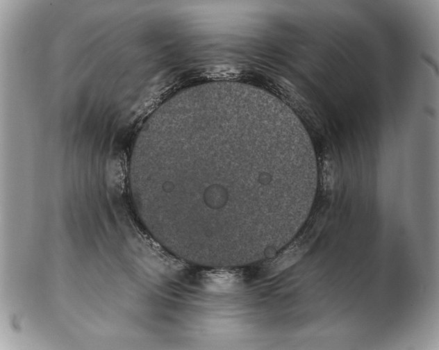 X0000102380370200808221807