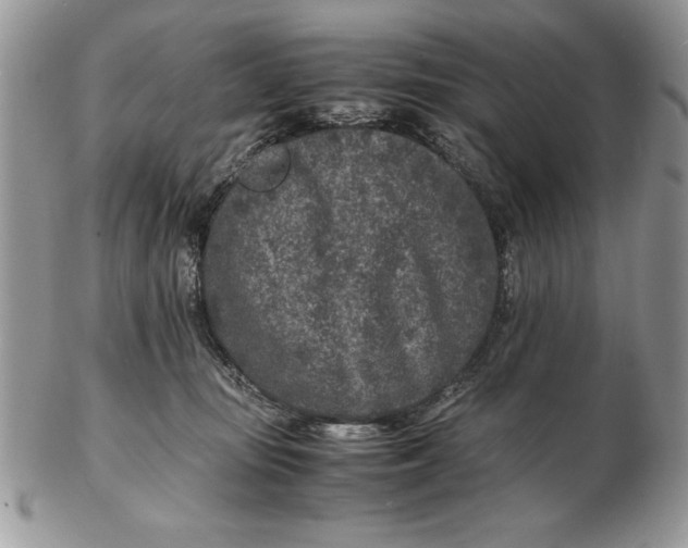 X0000102380371200808221807