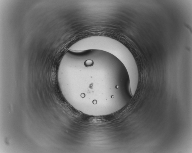 X0000102380372200808221807