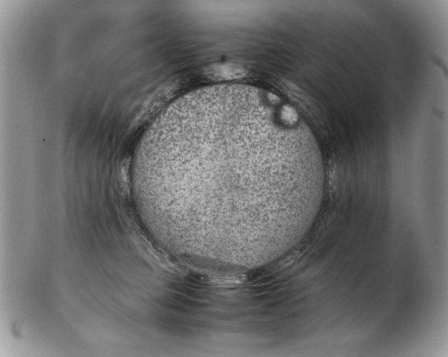 X0000102380373200808221807