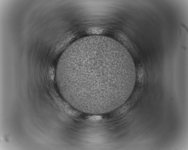 X0000102380374200808221807