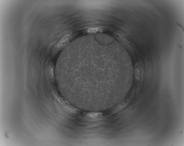 X0000102380375200808221807