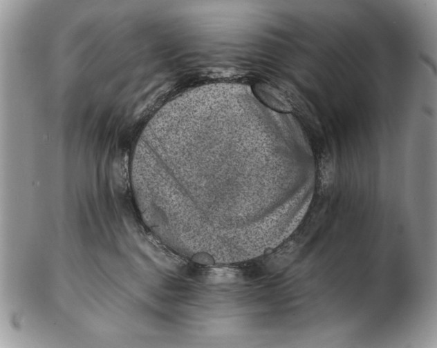 X0000102380376200808221807