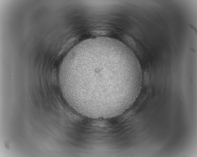 X0000102380377200808221807