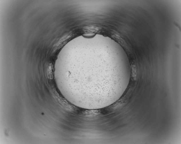 X0000102380378200808221807