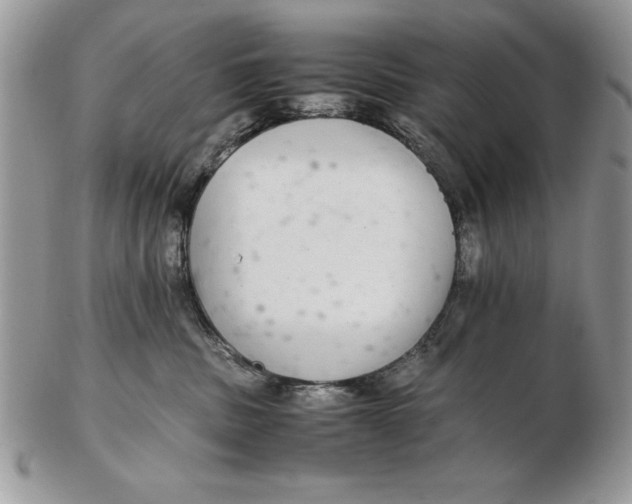 X0000102380379200808221807