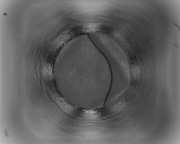 X0000102380380200808221807