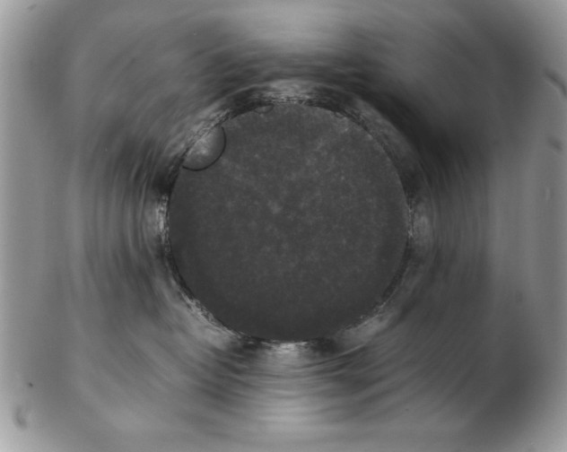 X0000102380382200808221807