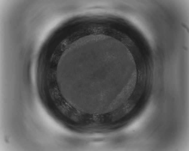 X0000102380383200808221807