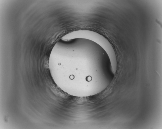 X0000102380384200808221807