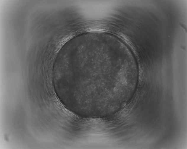 X0000102380385200808221807