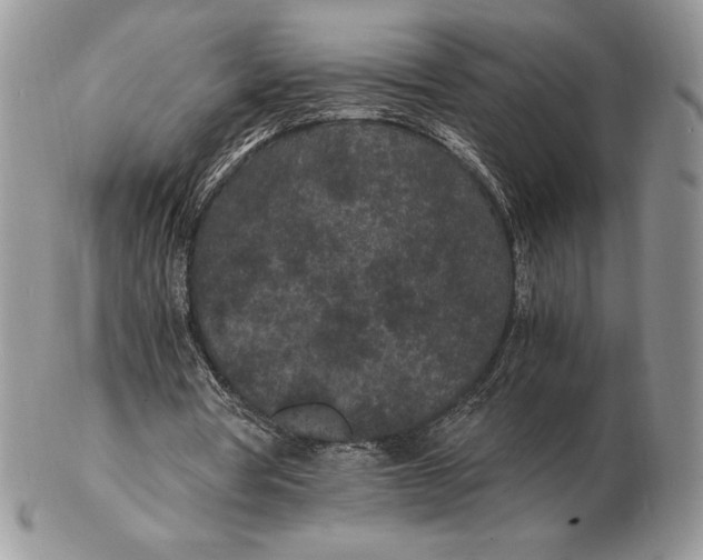 X0000102380386200808221807