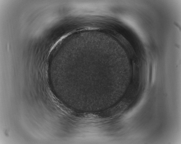 X0000102380387200808221807