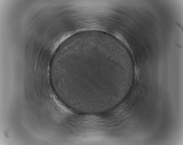 X0000102380389200808221807