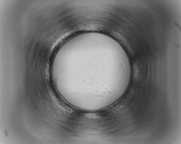 X0000102380392200808221807