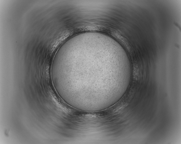 X0000102380394200808221807