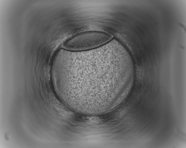 X0000102380395200808221806