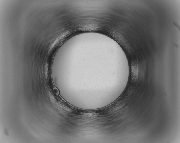 X0000102380396200808221806