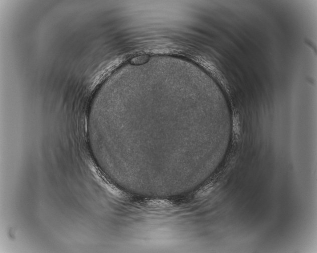 X0000102380397200808221806