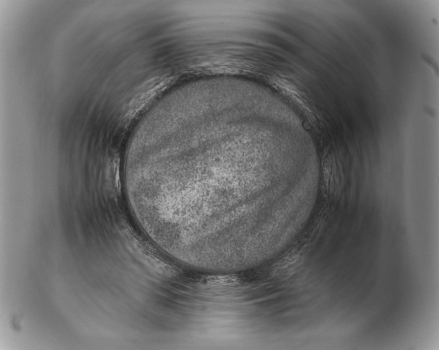 X0000102380398200808221806