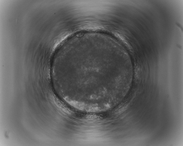 X0000102380399200808221806