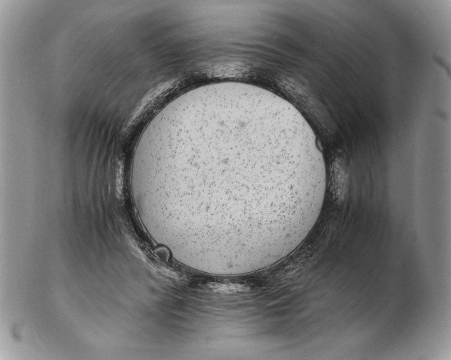 X0000102380400200808221806