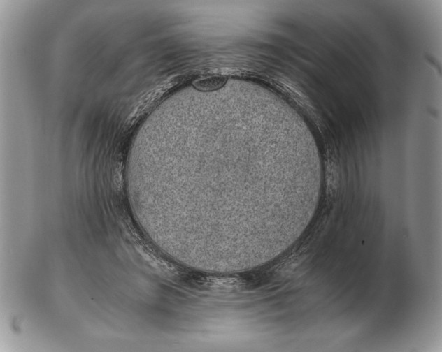 X0000102380401200808221806