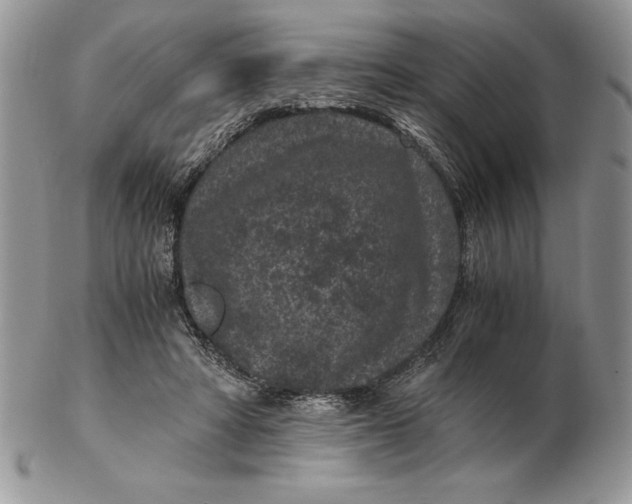 X0000102380402200808221806