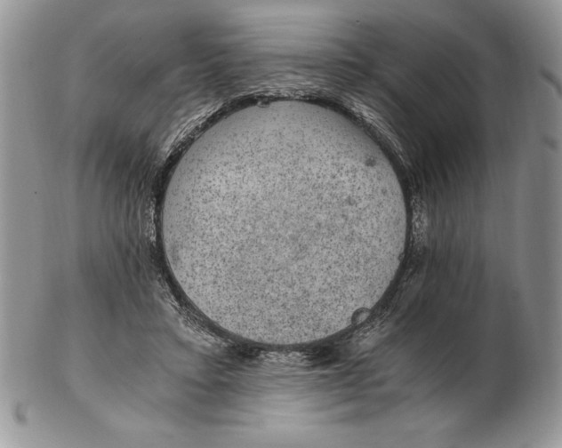 X0000102380403200808221806