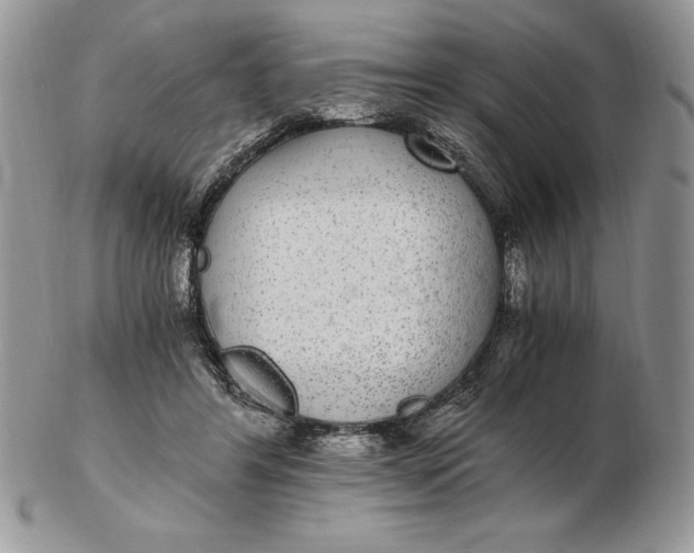 X0000102380404200808221806