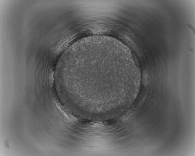 X0000102380405200808221806