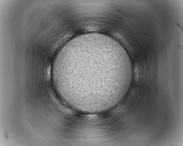 X0000102380406200808221806