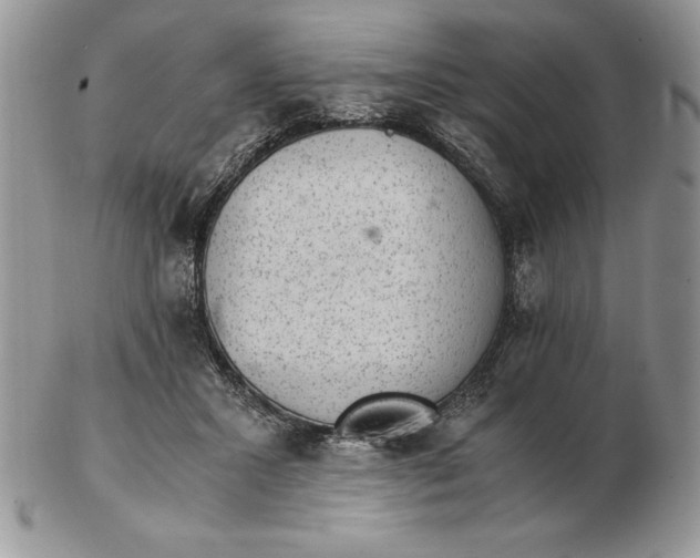 X0000102380407200808221806