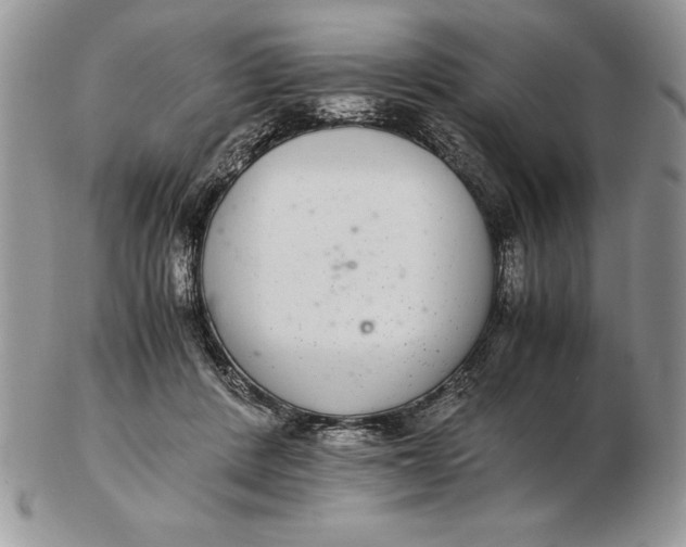 X0000102380408200808221806