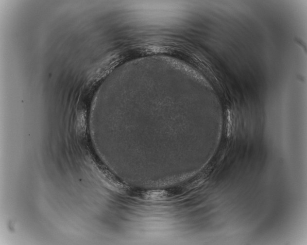 X0000102380410200808221806