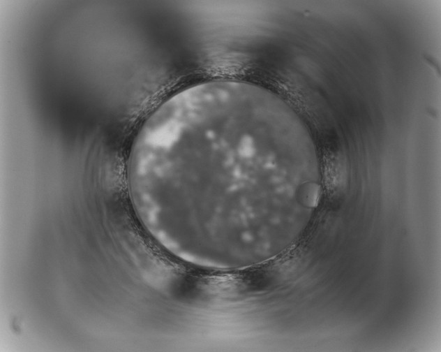 X0000102380411200808221806