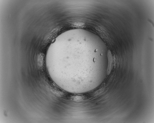 X0000102380412200808221806