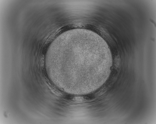 X0000102380413200808221806