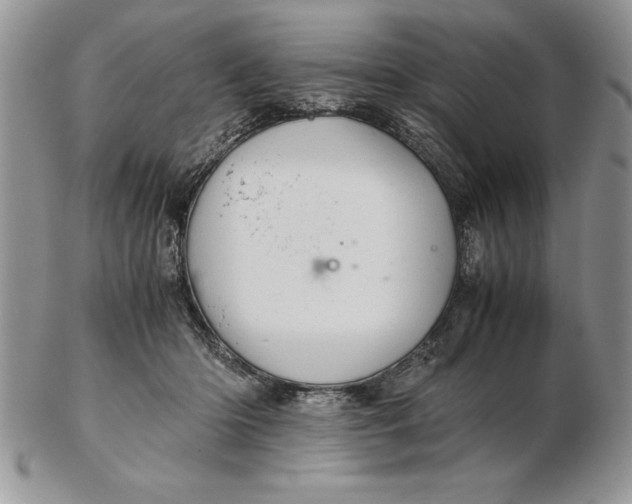 X0000102380414200808221806