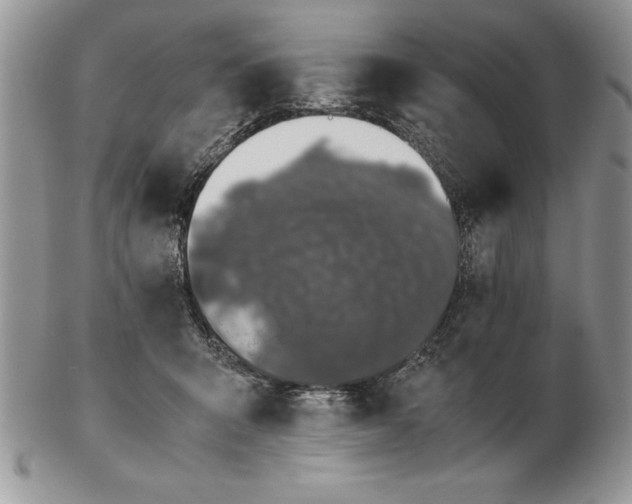 X0000102380415200808221806