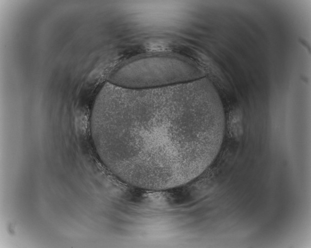 X0000102380417200808221806