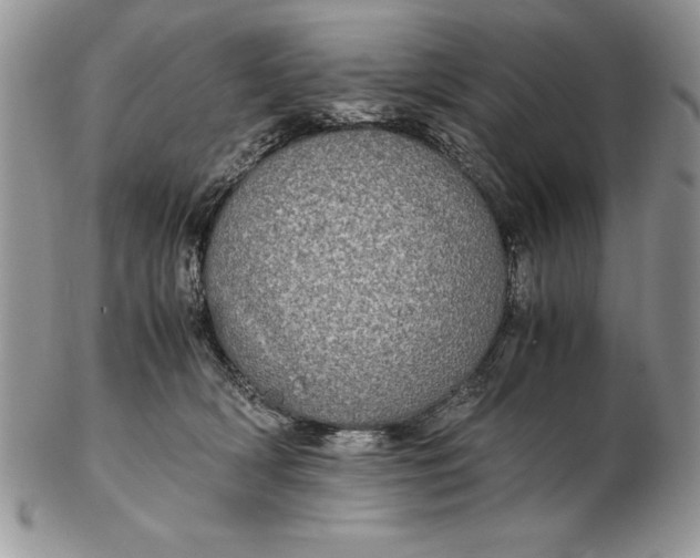 X0000102380418200808221806