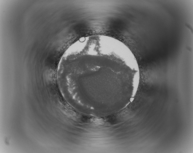 X0000102380419200808221806