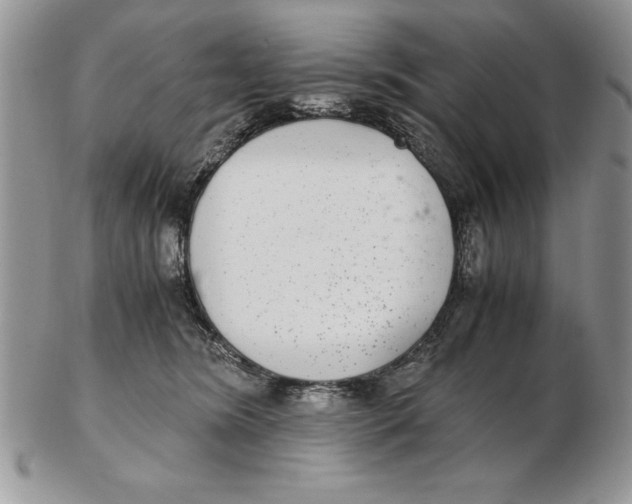 X0000102380420200808221806