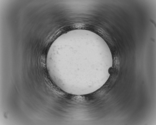 X0000102380421200808221806