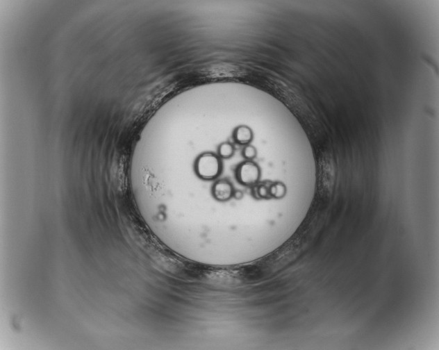 X0000102380422200808221806