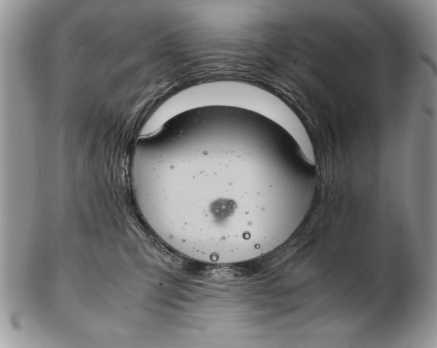 X0000102380423200808221806