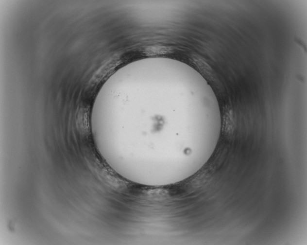 X0000102380426200808221806